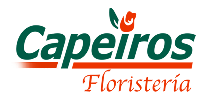 Just another WordPress site